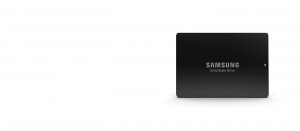 Samsung SM883 2.5 960 GB Serial ATA III MLC