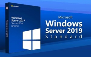 MICROSOFT Windows Server 2019 Standard 16-core NL