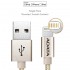 ADATA 1m, USB 2.0-A/Lightning Gold
