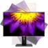 ASUS ProArt PA329C LED display 81.3 cm (32) 3840 x 2160 pixels 4K Ultra HD LCD Black